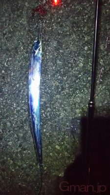 タチウオ