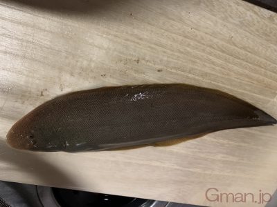 くちぞこ