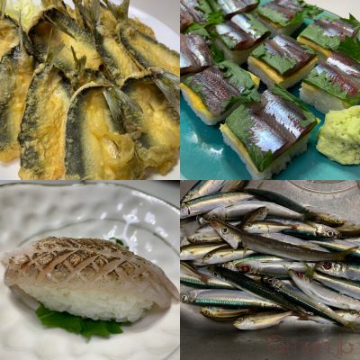 ウルメイワシ