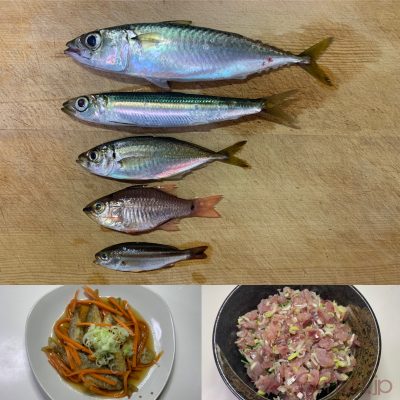ウルメイワシ
