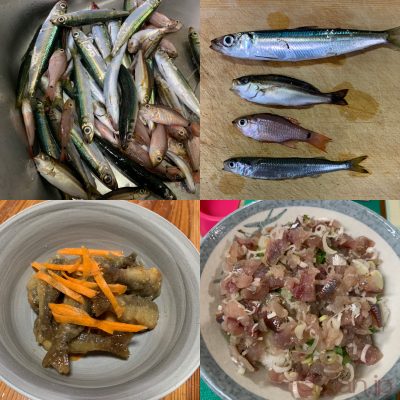ウルメイワシ