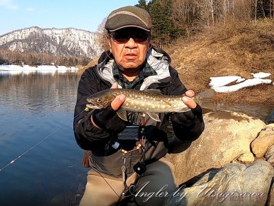 アメマス