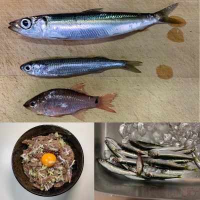 ウルメイワシ