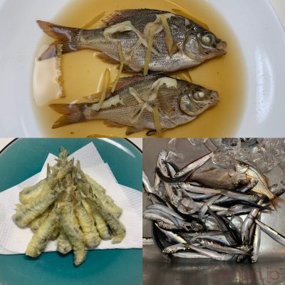 キビナゴ