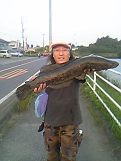 ライギョ