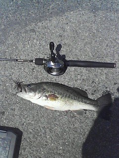 ブラックバス35cm