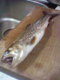 アメマス34cm