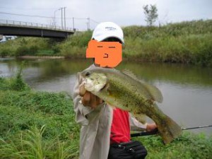 ブラックバス40cm