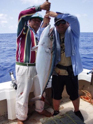キハダマグロ60cm