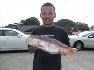 シロアマダイ53cm 2kg