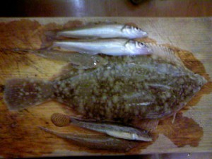 カレイ