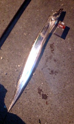 タチウオ96cm
