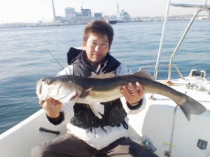 シーバス