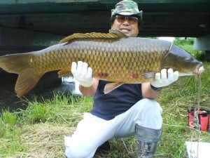 コイ102cm 17kg