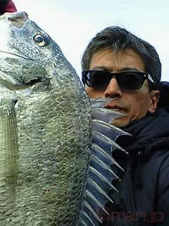 クロダイ