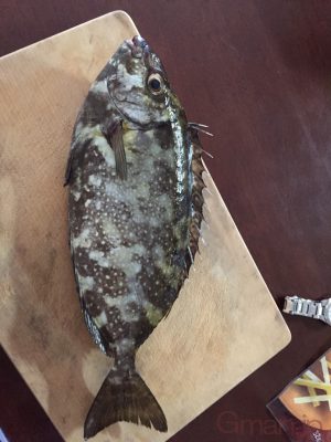 ワカラナイ
