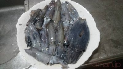 ジンドウイカ