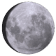 月齢:11.7 月齢