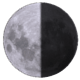 月齢:21.9 月齢